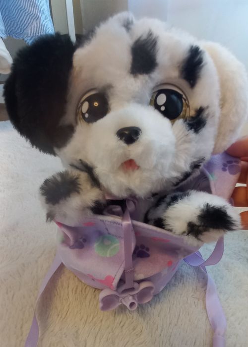 Dalmatian Baby Paws