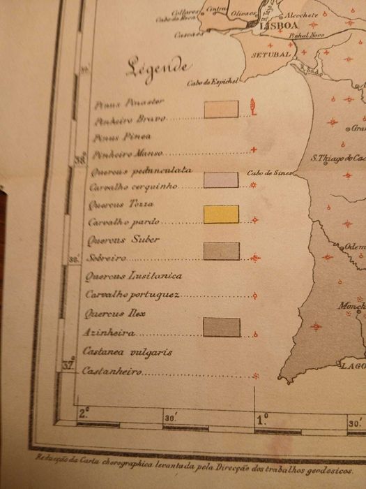 Mapa Portugal - Distribution des essences forestiéres dominantes