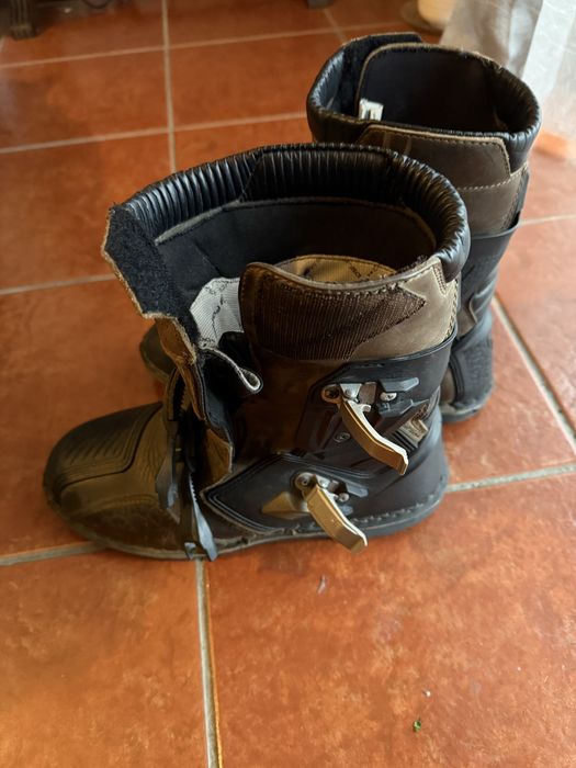 Forma Terra Evo Low