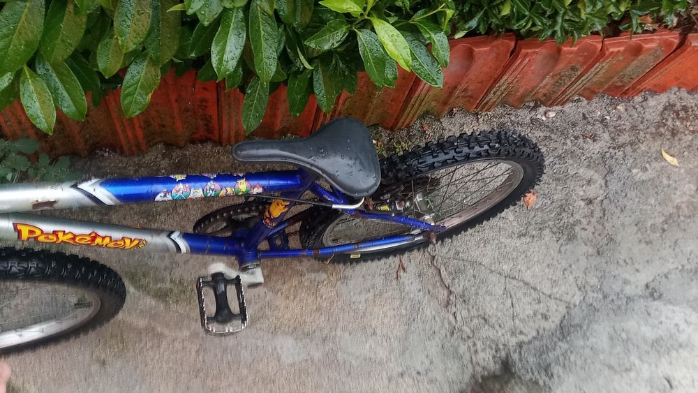 Bicicletas para adultos, adolescentes e crianças