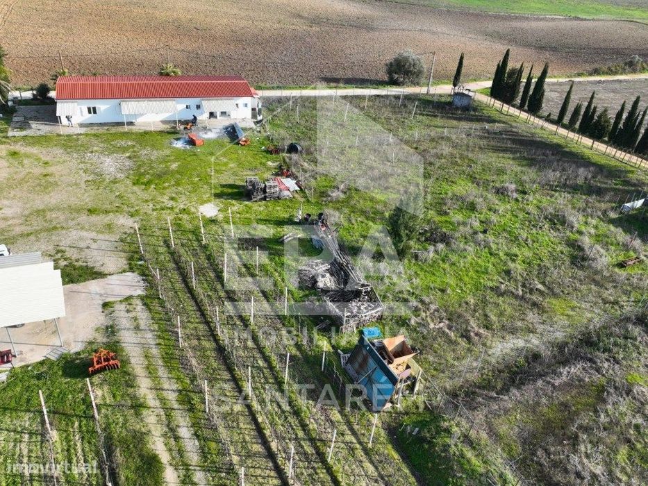 Quinta agrícola com 72.760 m² e vinha em produção