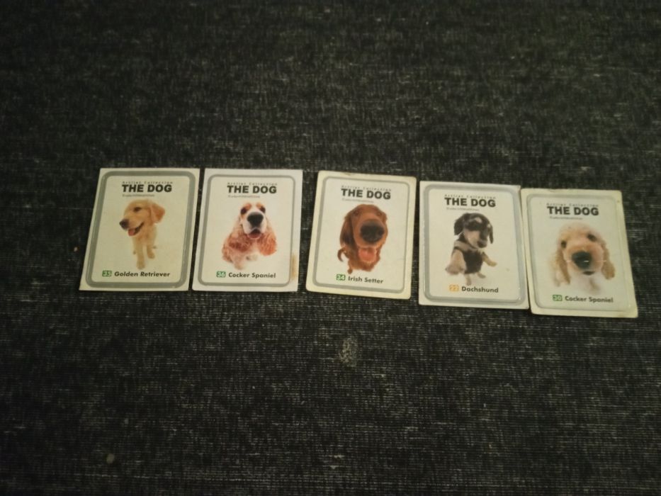 Autocolantes The Dog Matutano