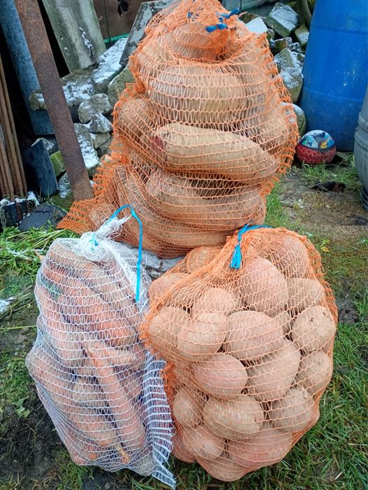 Buraczki , Ziemniaki