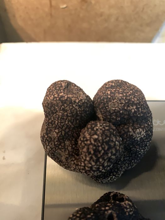 Трюфель чорний білий Італія Абруццо Свіжий гриб