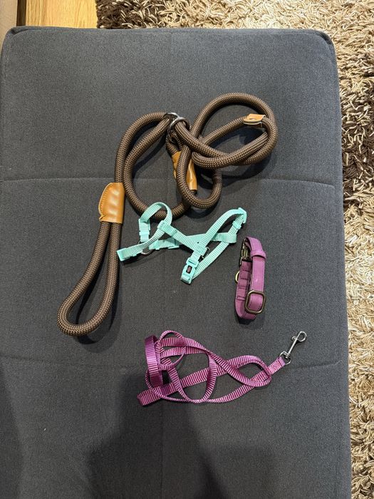 Собачий одяг та аксесуари( комбінезон , жилетка, догляд для ротової )