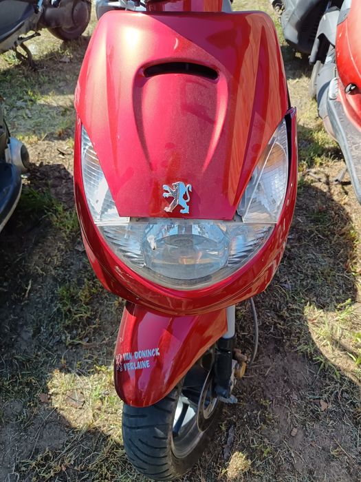 Czacha,czasza peugeot vivacity