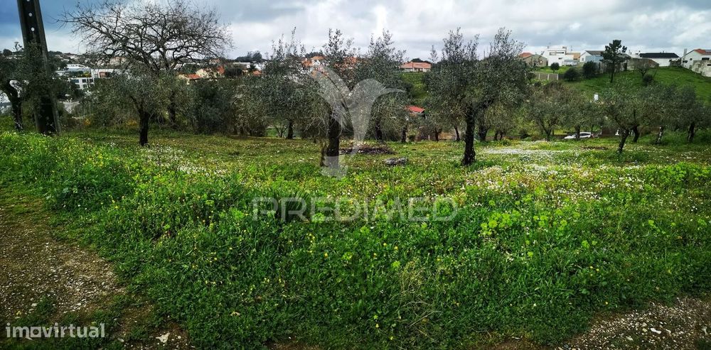 Terreno Rústico Urbanizável em Santa Catarina da Serra e Chainça