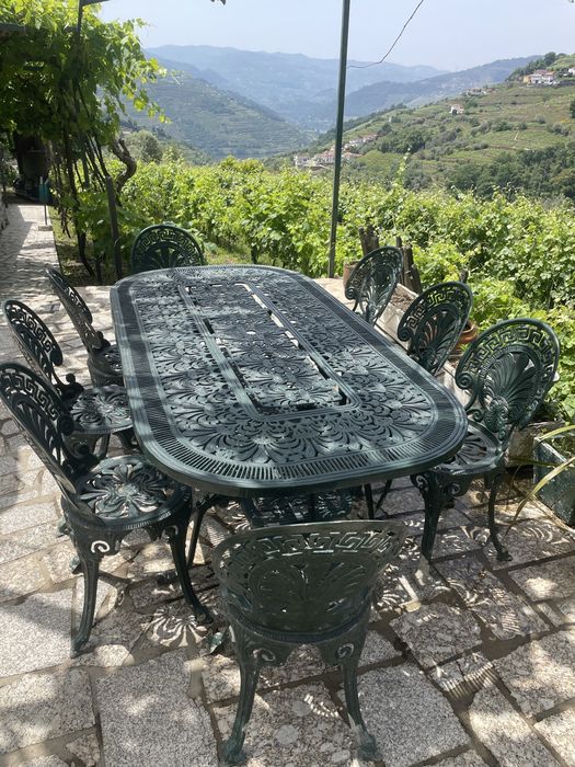 Quinta vinhateira com moradia e adega