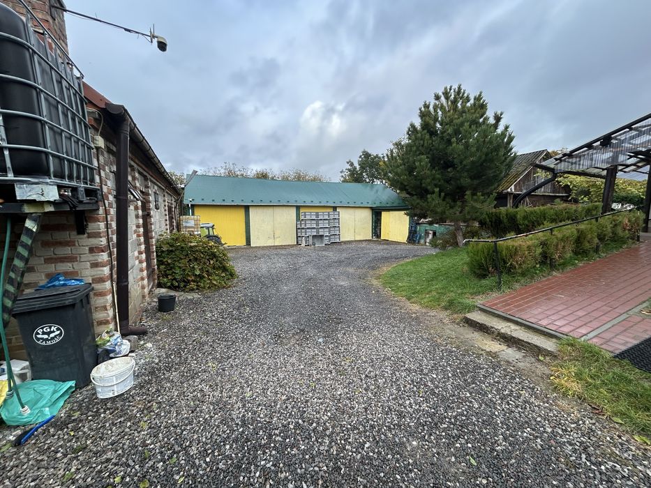 Sprzedam gospodarstwo sadownicze