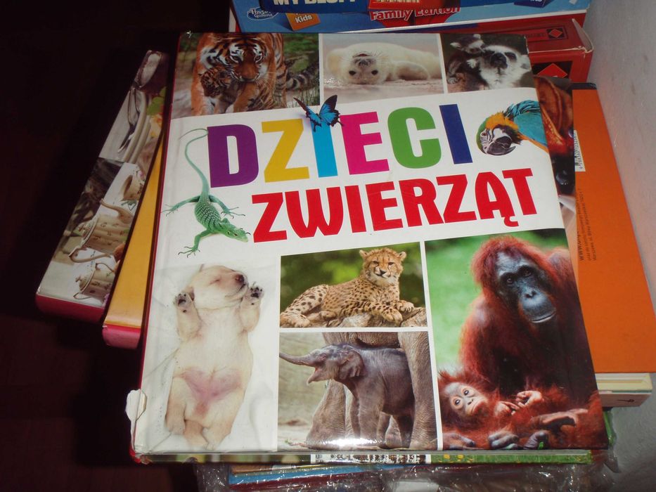 DZIECI ZWIERZĄT - pięknie wydany album , unikalne zdjęcia