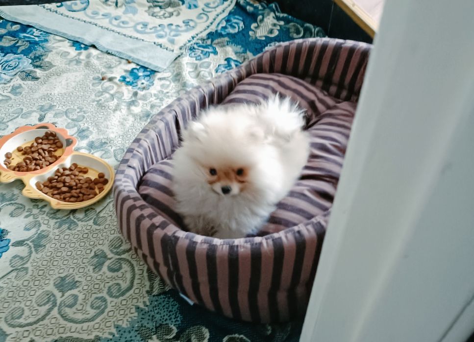 Шикарний хлопчик