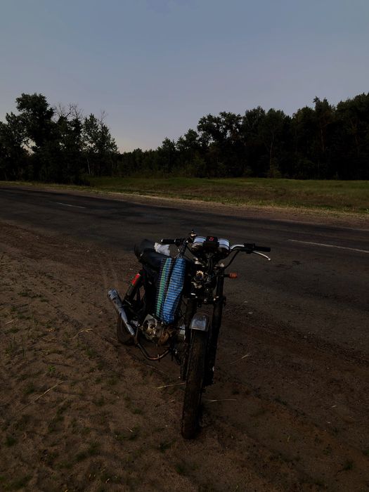 Alpha-musstang-110-2b