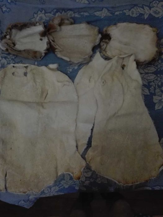 Хутро нутрії та ондатри.