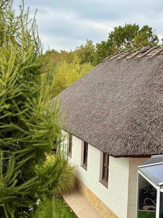 Будинок за адресою Люстдорфська дор. (площа 400 м²) - Atlanta.ua - фото 9