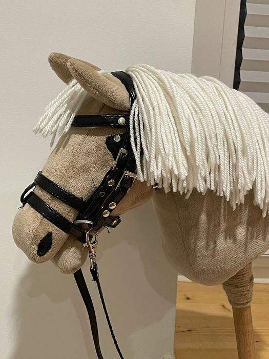 Konik Hobby Horse