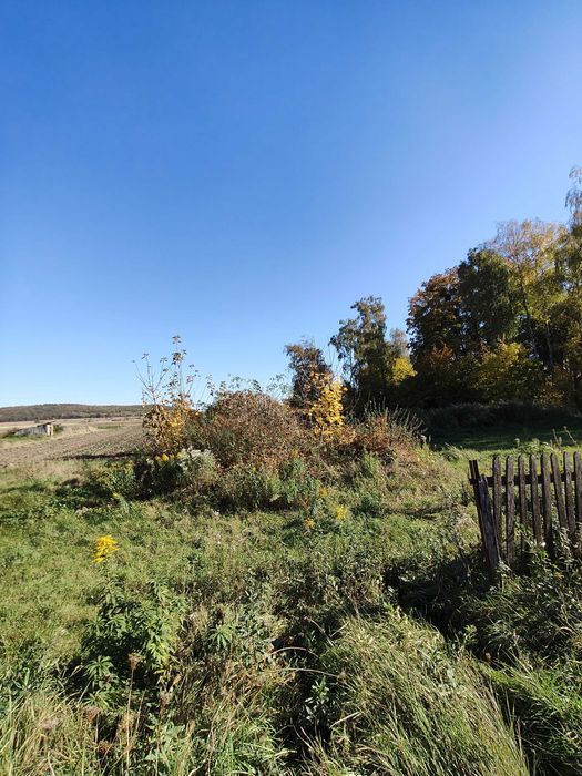 Понад 40 соток землі зі старим будинком в мальовничому селі.