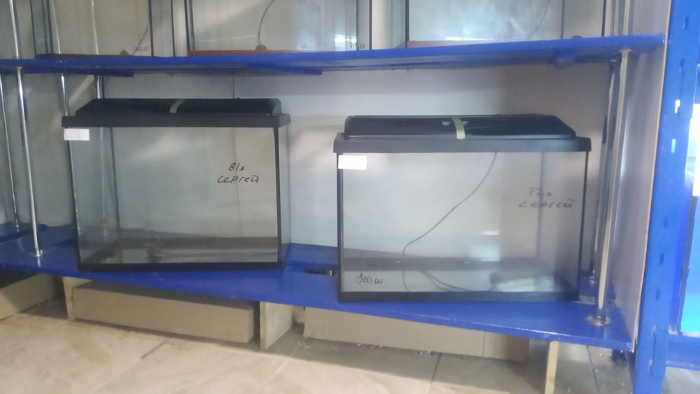 Аквариумы новые 22л,34л, 52л, 54л, 65 аквариумные рыбки