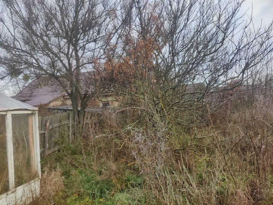 Будинок, с. Копилів, Макарівський р-н.