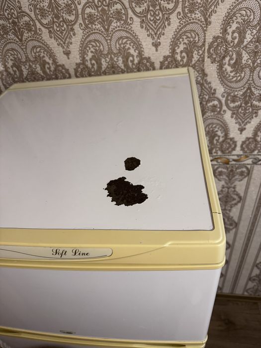 Холодильник не працює