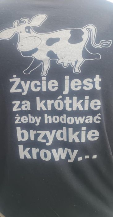 Suchy STMR dla cieląt cielak jałoszka byczek