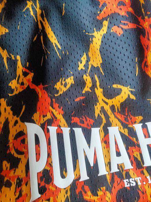 Puma
Straight Flames Short Black