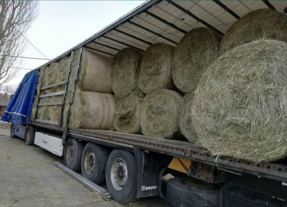 Siano Sloma w balach/ baloty/ bale/ bele własny transport