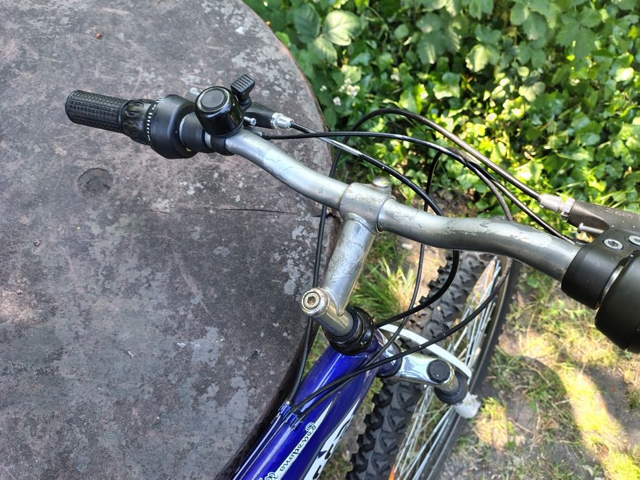 Rower Forester Raptor