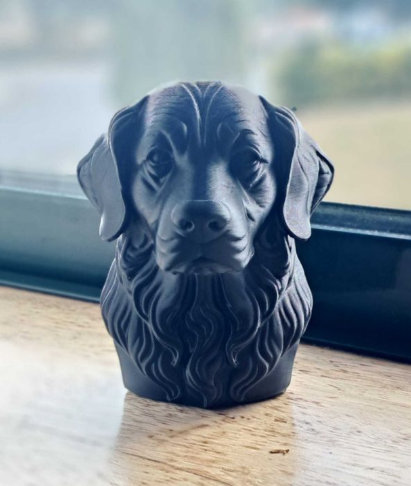 Busto 3D Golden Retriever