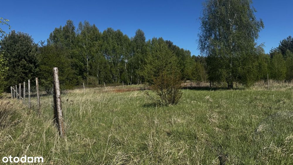 Sprzedam działkę o pow 975 m² w miejscowości trzęsów - View 3