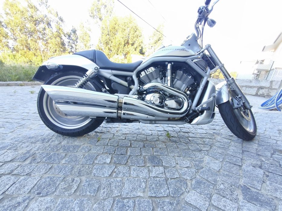 Harley Davidson VRod Vrsca