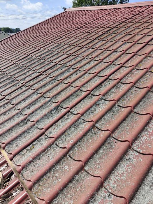 Mycie i malowanie elewacji, kostki, dachów