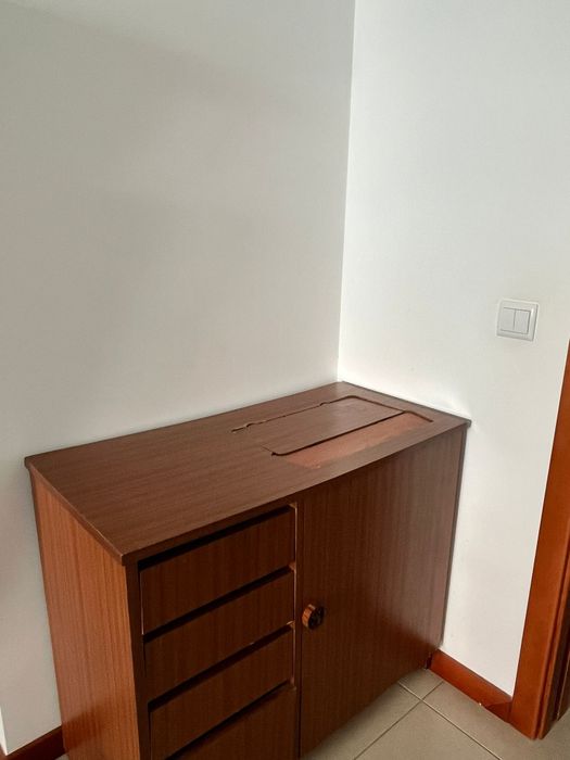 Maquina Singer facilita 288
