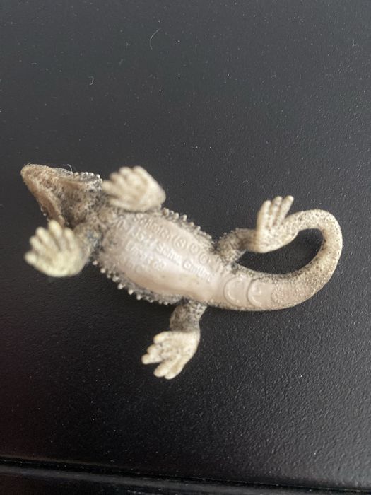 Schleich Jaszczurka Agama Brodata 14765