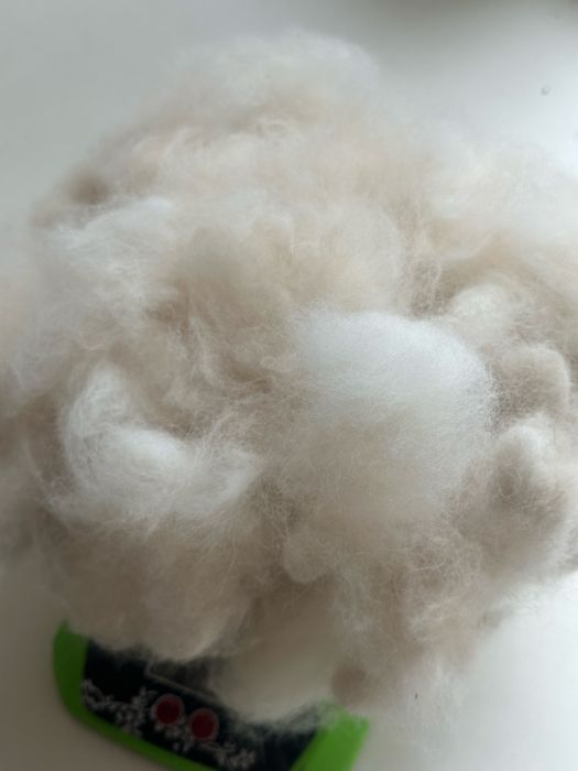 Пух подшорсток померанского шпица