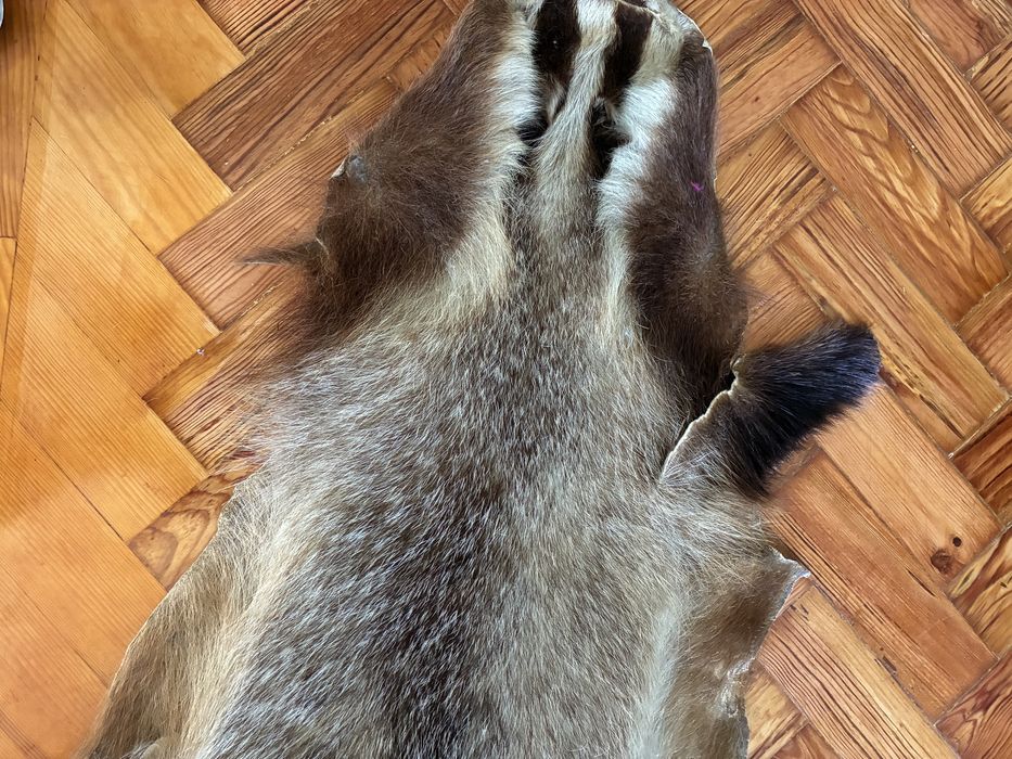 Pele de Texugo Verdadeiro