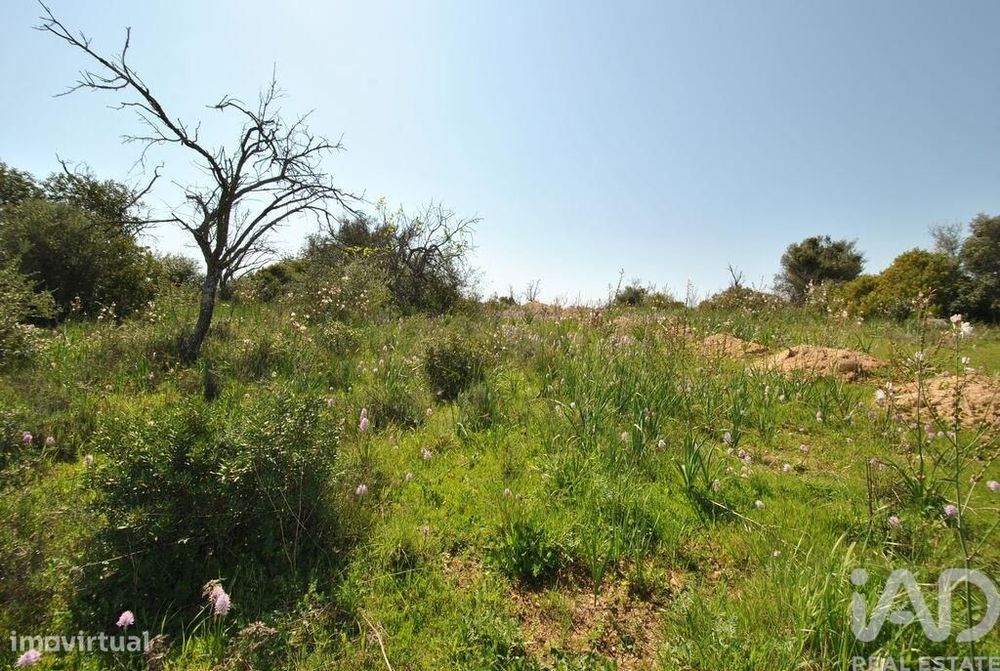 Terreno Agrícola em Paderne