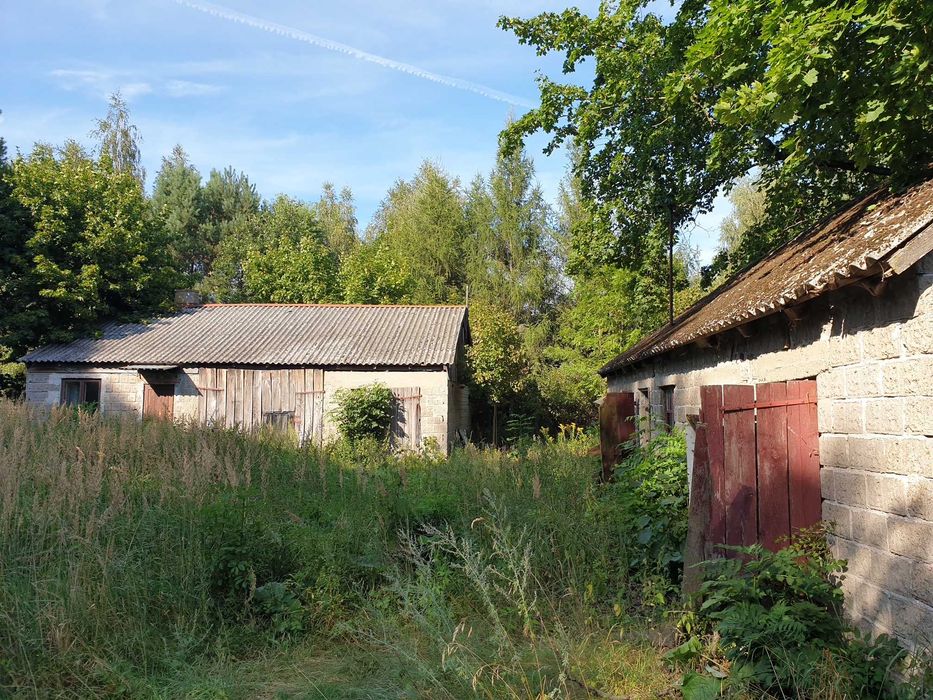 Zdjęcie 8