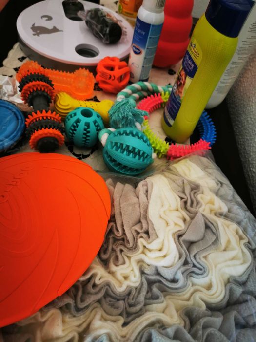 Kit de acessórios para Cão - 21 Produtos