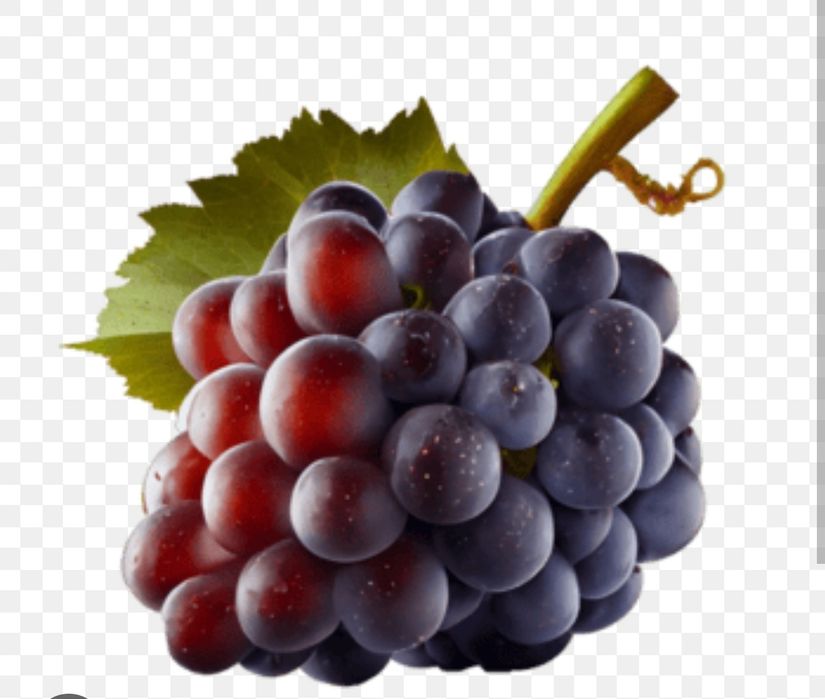 Venda de Uva para Vinho