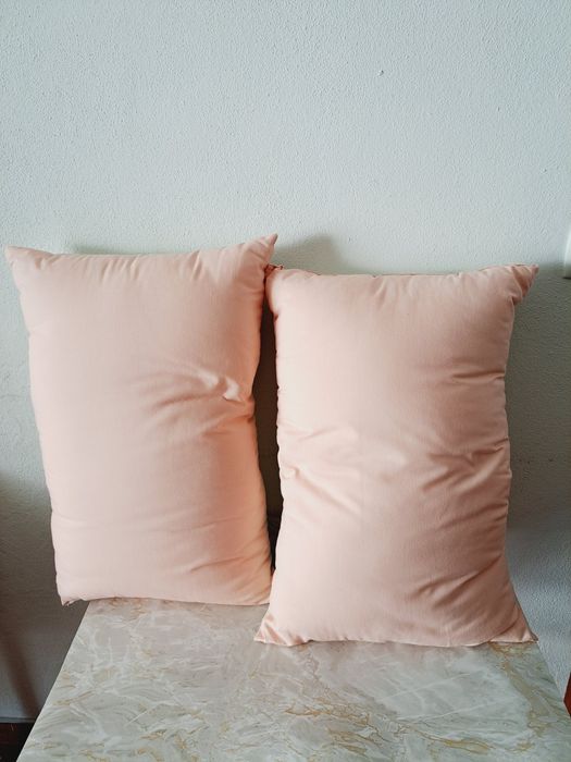 2 almofadas decorativas