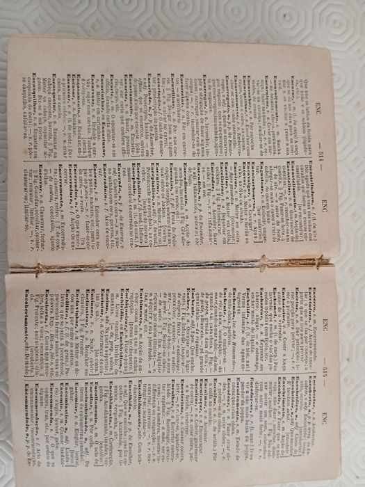 Dicionário de Língua Portuguesa