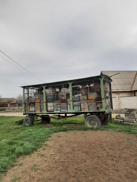 Пасіка на колесах.