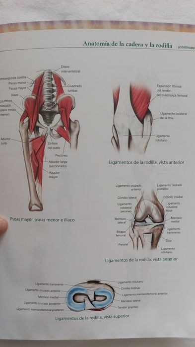 Pilates y Rehabilitacion para Sindromes y Artroplastias