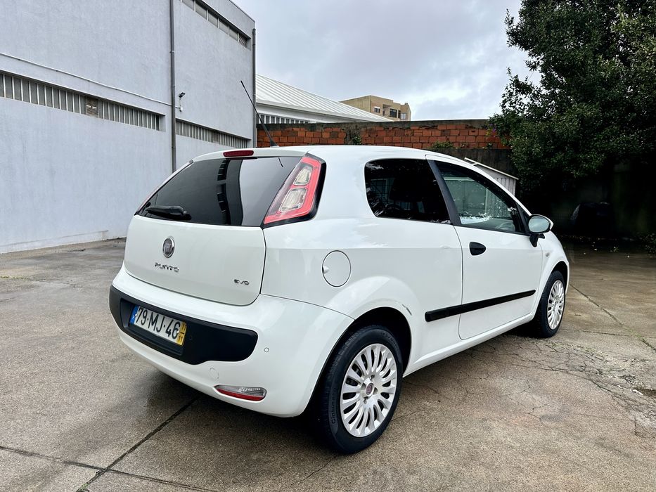 Fiat Punto Evo 1.3Multijet van