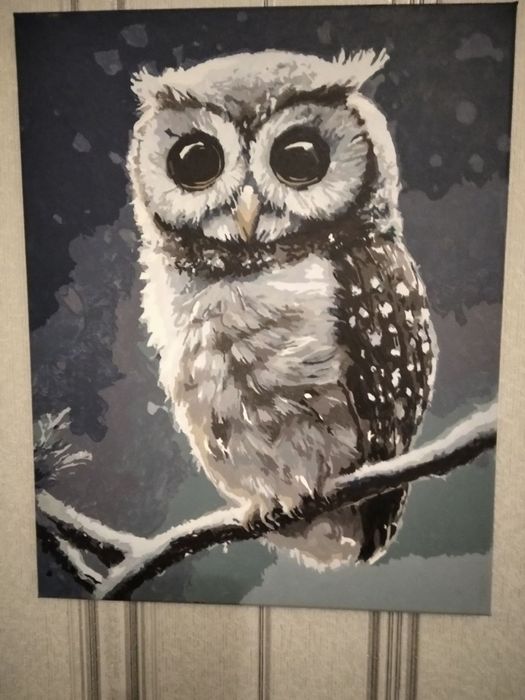 Готова картина Лісова совушка