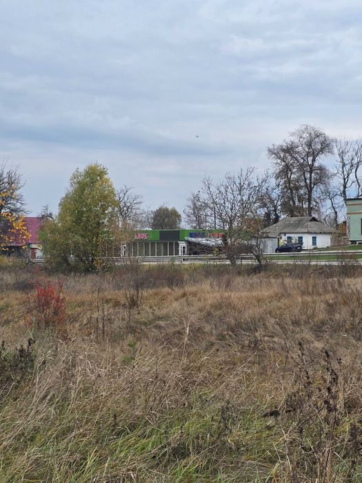 Продаж комерційної ділянки с.Троїцьке 25 соток