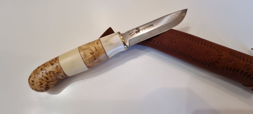 Karesuando Ripan sweden sapmi