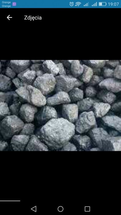 Węgiel orzech polski