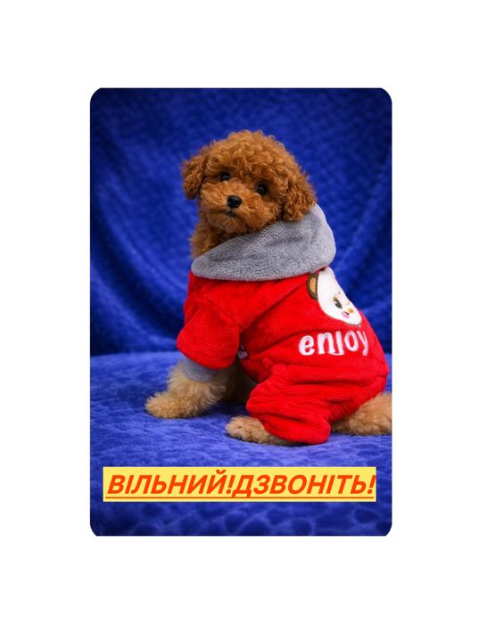 Wow!НайШикарніше маля