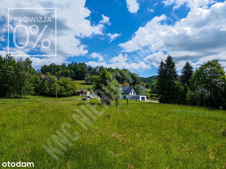 Targoszów | działka 2350 m2 | spokój | las | góry